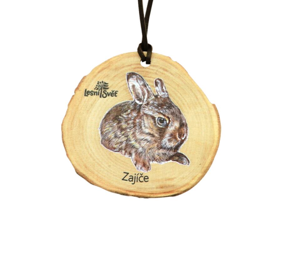 Lesní svět Dřevěná medaile letokruh