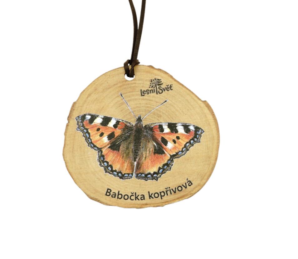 Lesní svět Dřevěná medaile letokruh