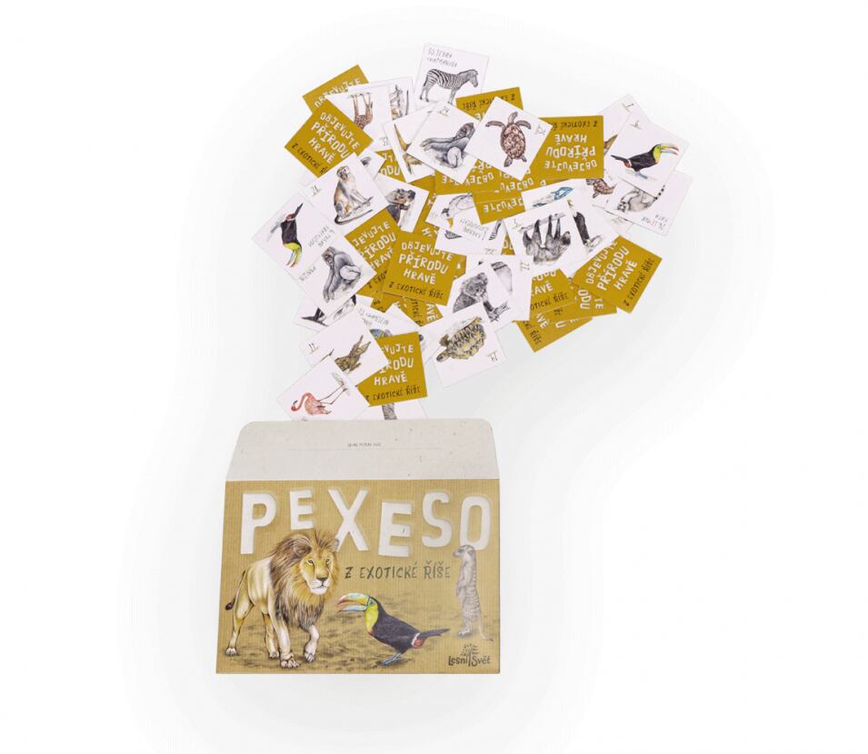 Lesní svět Papírové pexeso Lesní svět