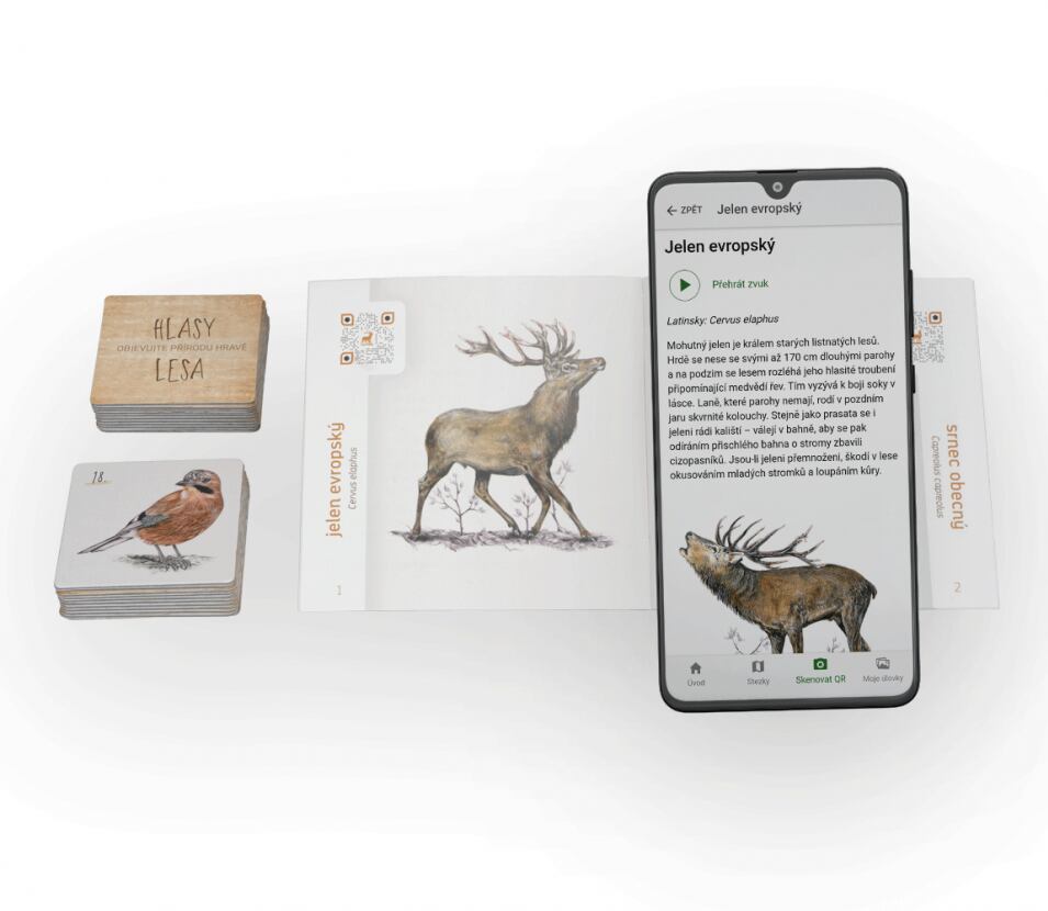 Lesní svět Zvukové pexeso Lesní svět