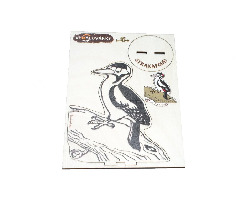 Lesní svět Dřevěné vymalovánky Lesní svět