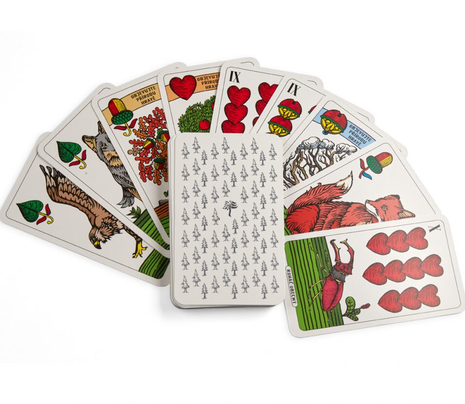 Lesní svět Když v lese prší Lesní svět