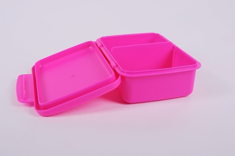 ZDRAVÁ LAHEV® Svačinový box Zdravá sváča RŮZNÉ BARVY