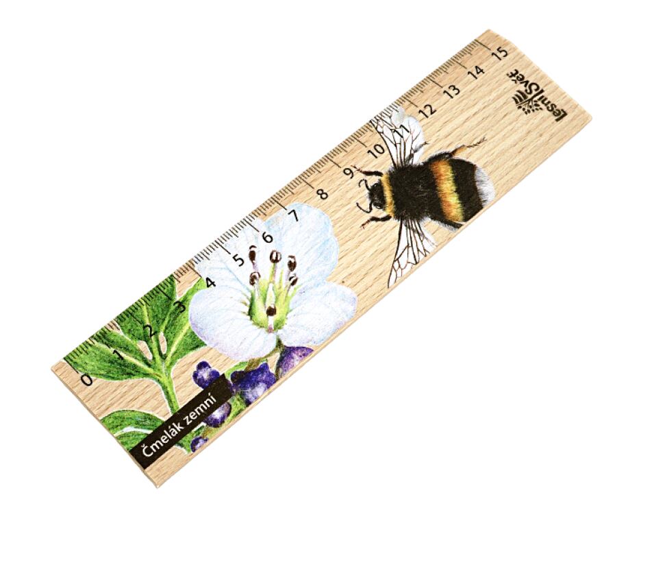 Lesní svět Dřevěné pravítko 15 cm