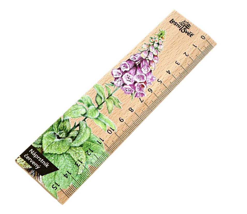 Lesní svět Dřevěné pravítko 15 cm