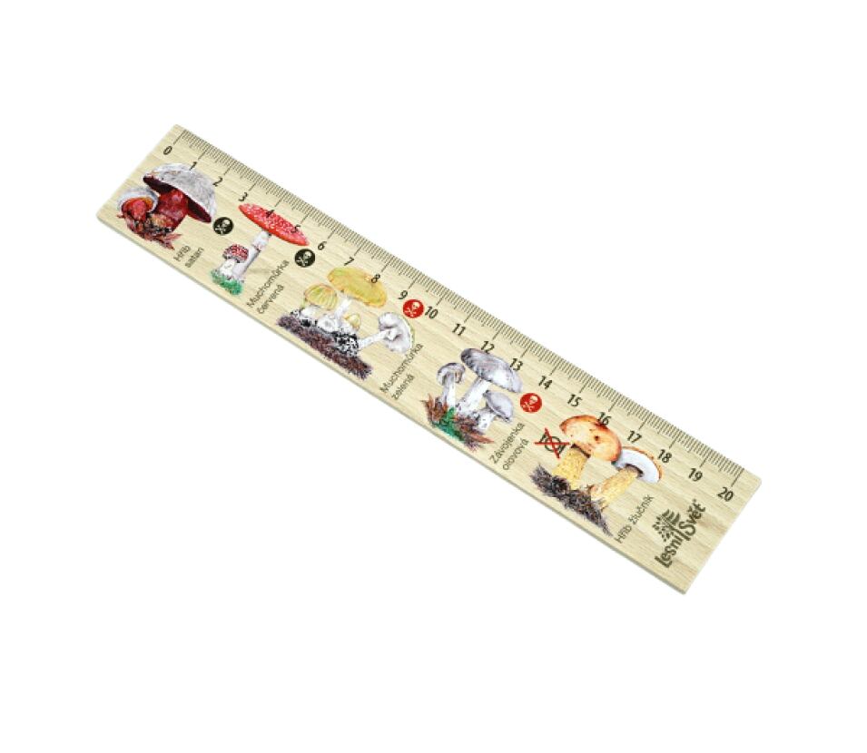 Lesní svět Dřevěné pravítko 20 cm