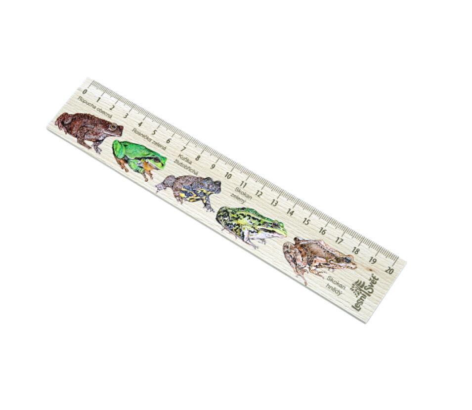 Lesní svět Dřevěné pravítko 20 cm