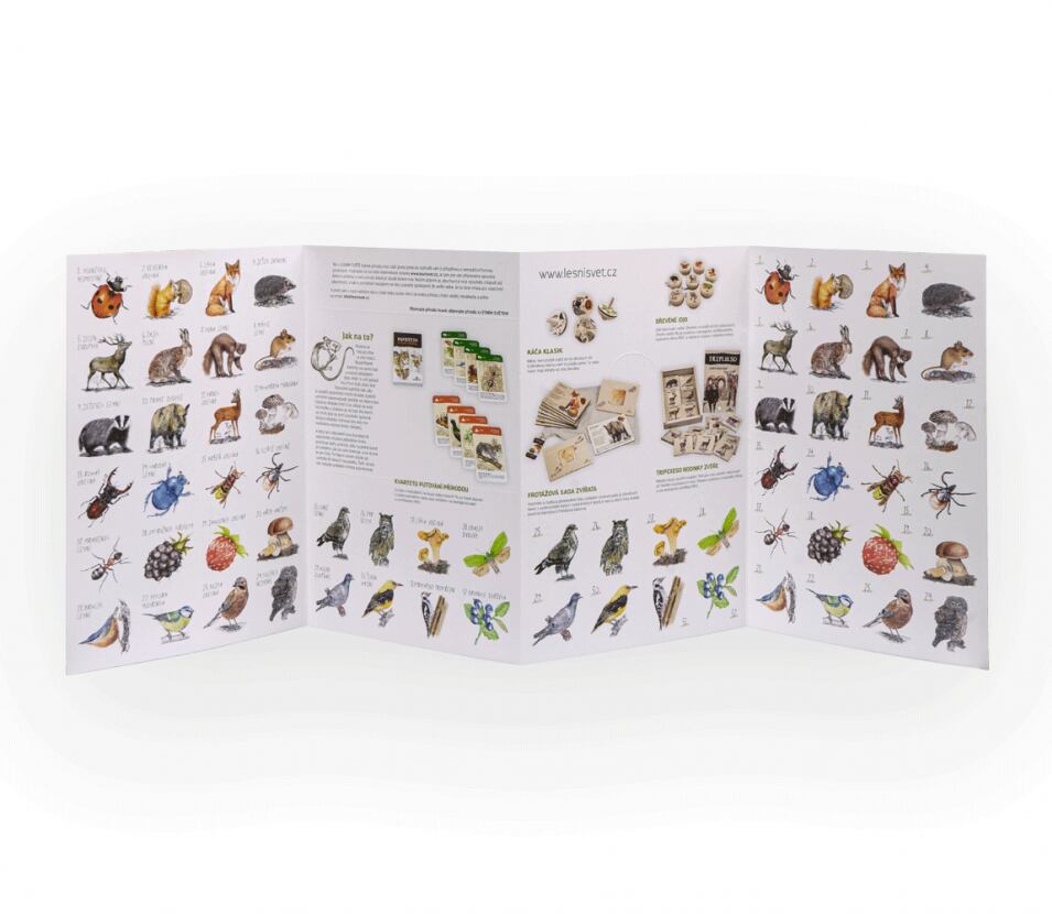 Lesní svět Papírové pexeso Lesní svět