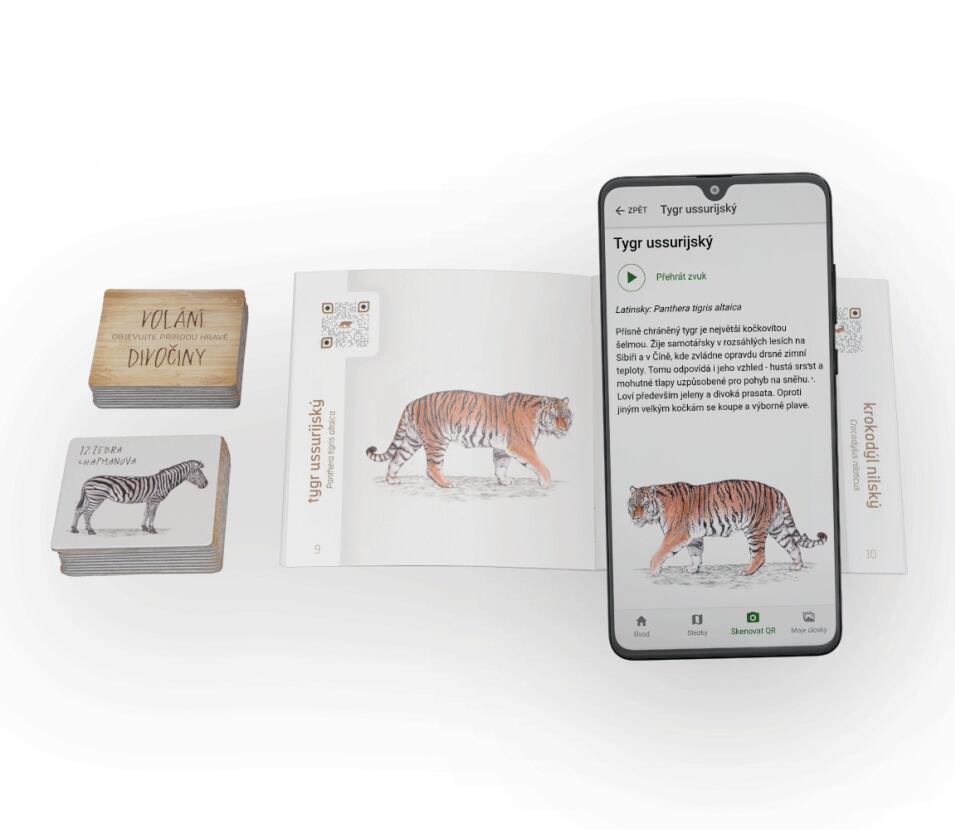 Lesní svět Zvukové pexeso Lesní svět