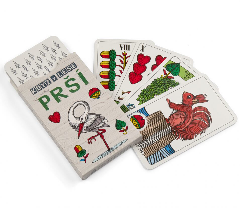 Lesní svět Když v lese prší Lesní svět