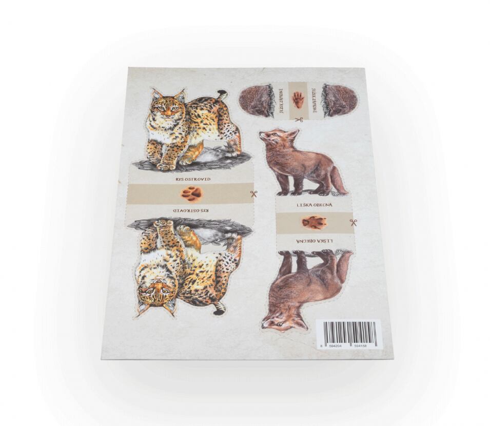 Lesní svět Vystřihovánky Lesní svět