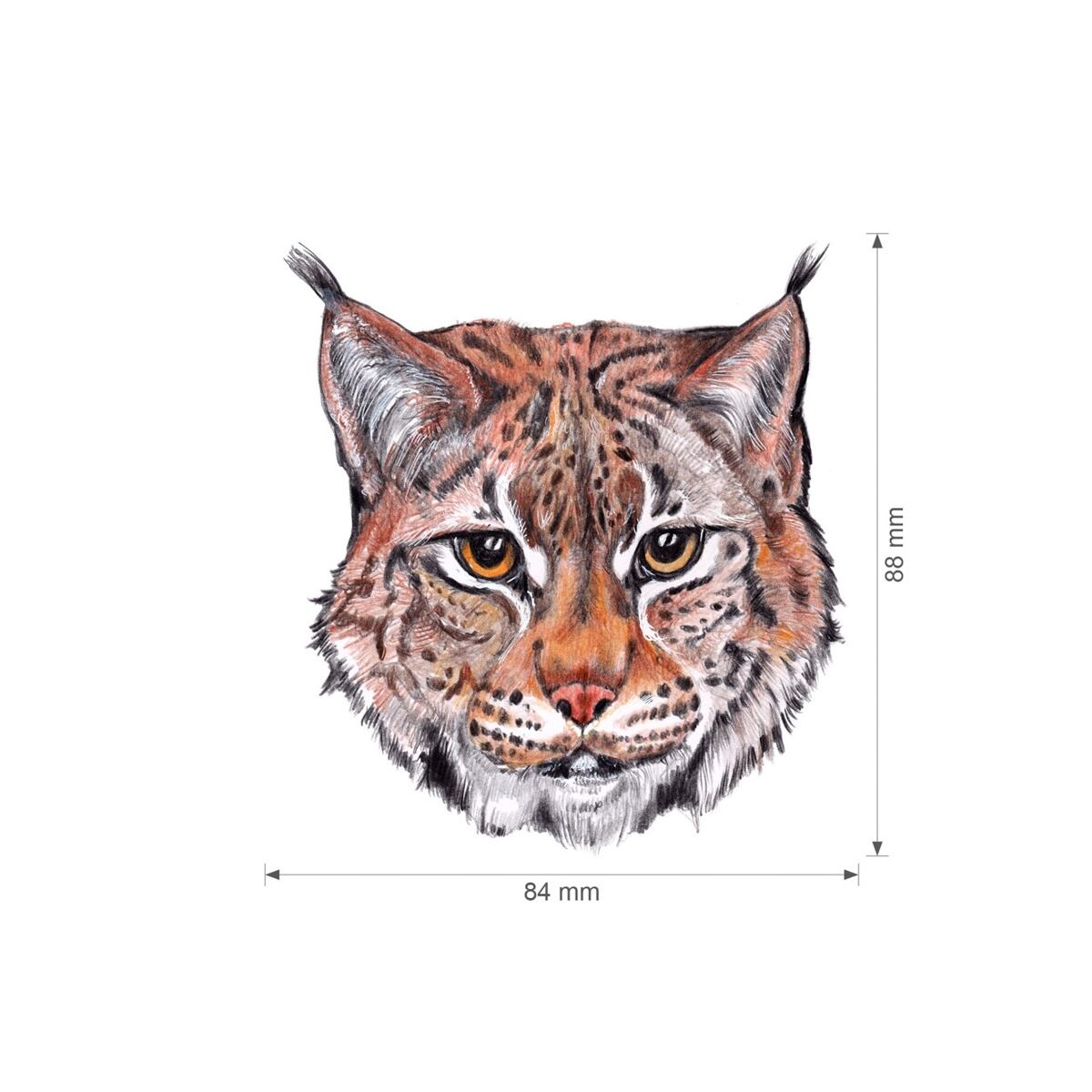 Lesní svět Nažehlovačka S - Mix rys, medvěd, výr